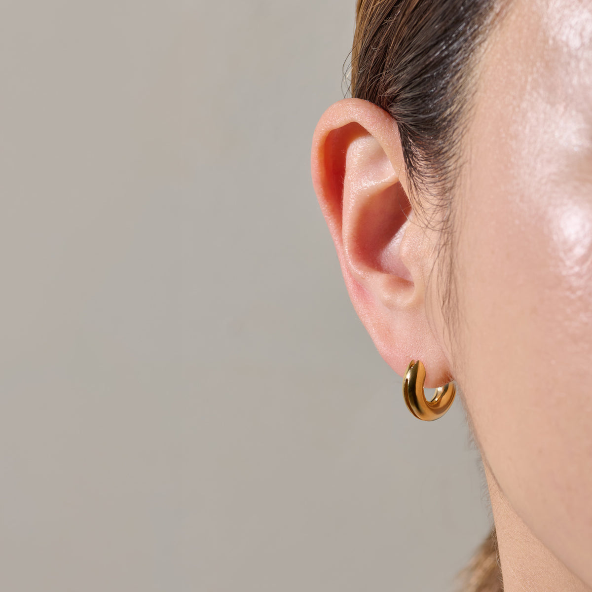 HOLLOW EARRING 02 SV/G