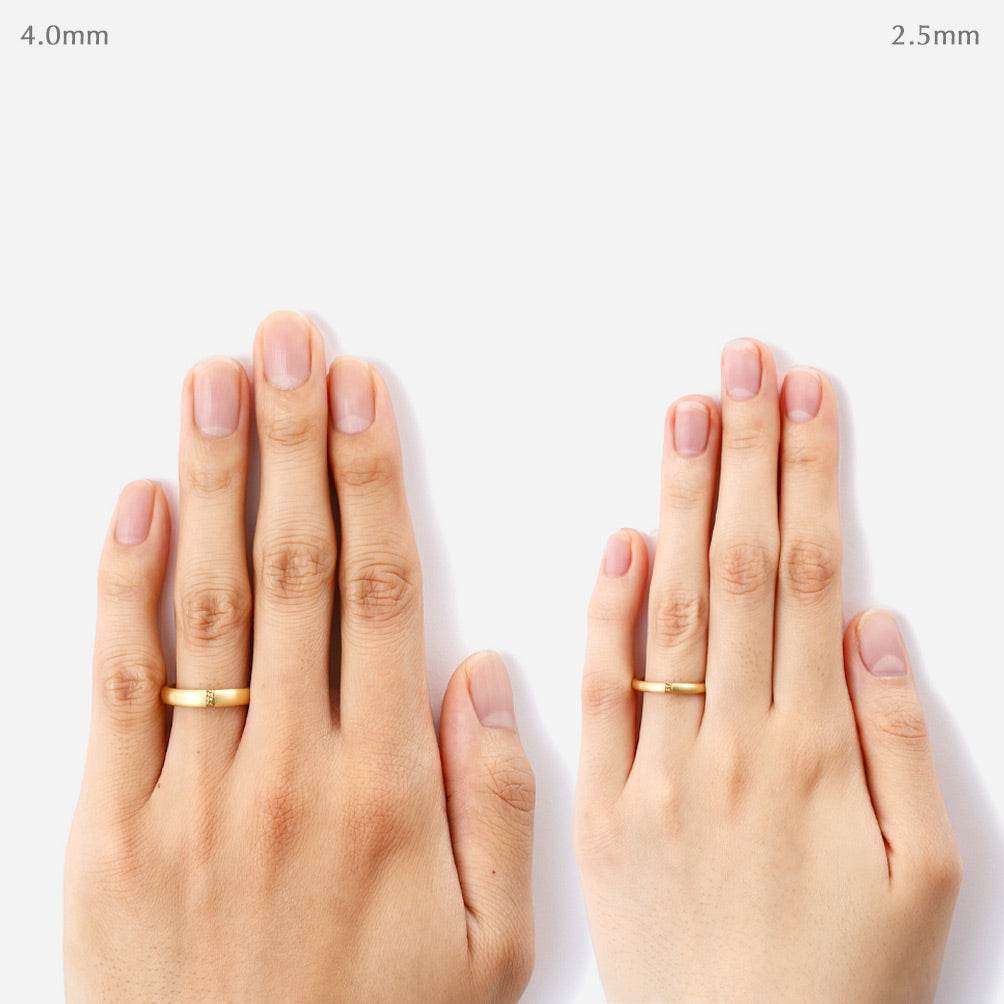 CHAIN RING