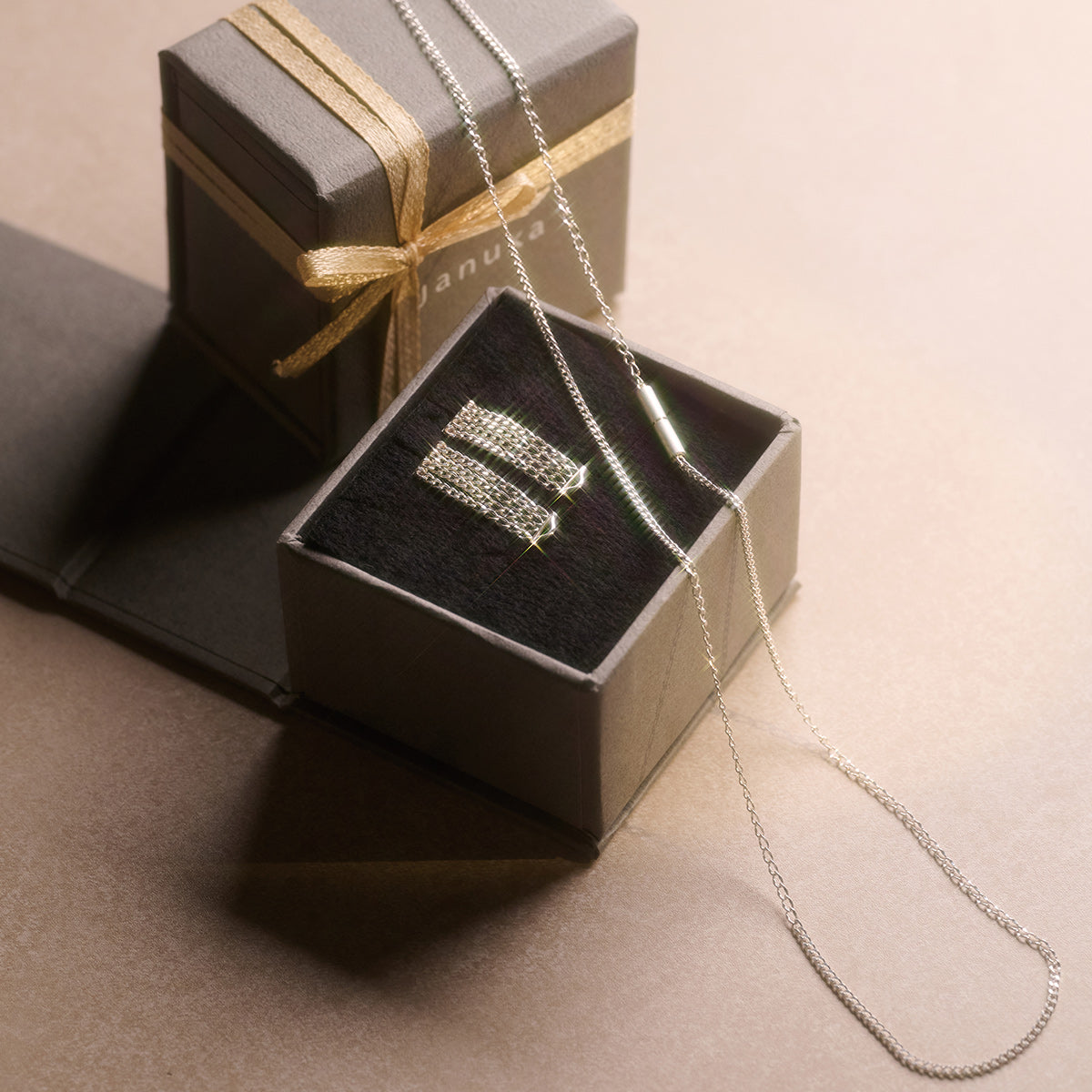 [数量限定] DENSITY NECKLACE & DENSITY EARRING S